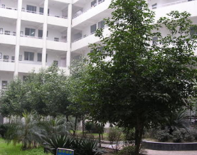 麻江县中等职业技术学校