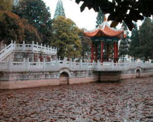 西秀区安吉职业技术学校