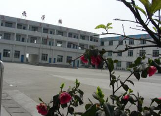 大丰港国际职业学校