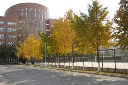 云南文山州财贸学校　