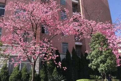 云南省玉溪卫生学校