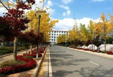 云南林业职业技术学院
