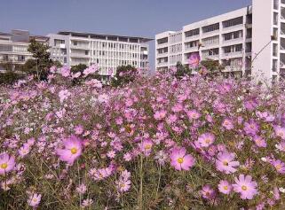 云南能源职业技术学院