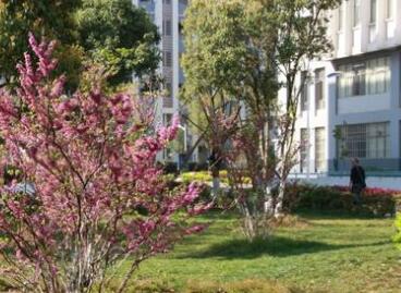 云南能源职业技术学院