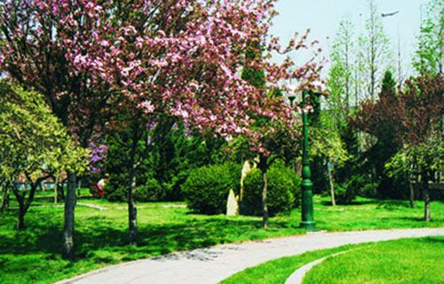 昆明工艺美术学校