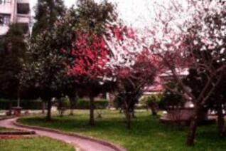 云南省化工学校