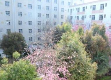 云南中医药中等专业学校