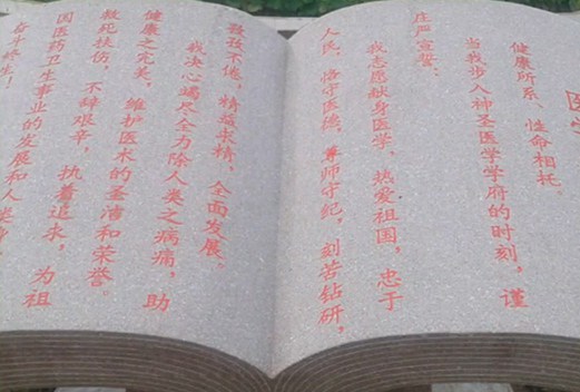 漳州卫生职业学院