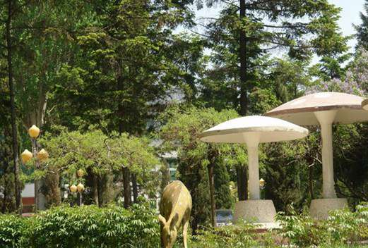 福建林业职业技术学院