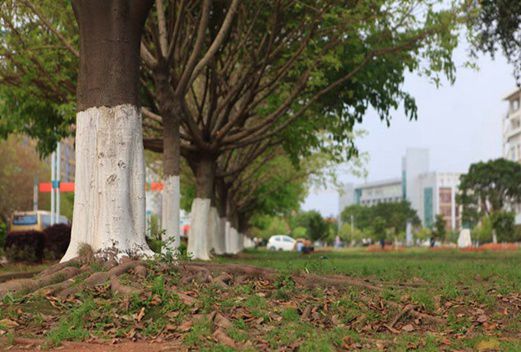 江西应用技术职业学院
