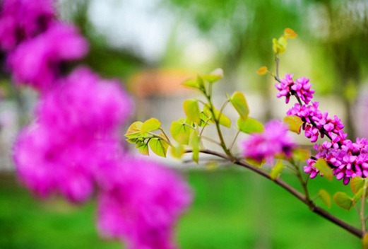 朝阳市卫生学校