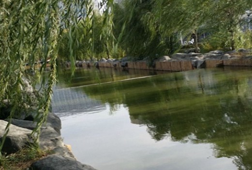 保定幼儿师范高等专科学校