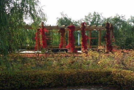 保定幼儿师范高等专科学校