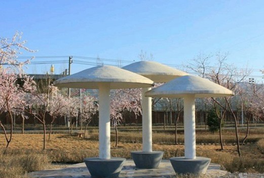 保定幼儿师范高等专科学校