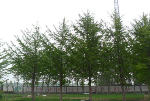 福建闽北卫生学校