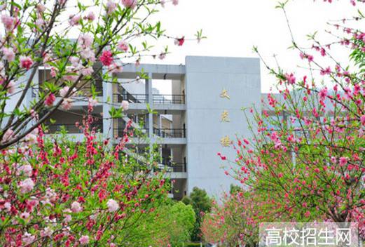 龙岩学院附属中学