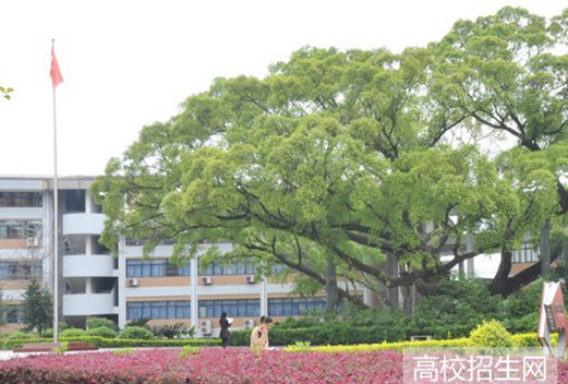 龙岩学院附属中学