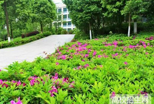 赣南卫生健康职业学院