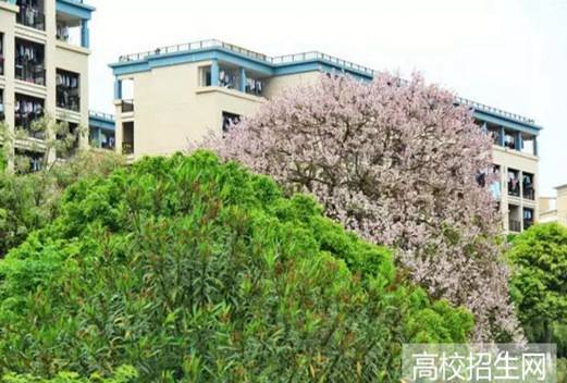 赣南卫生健康职业学院