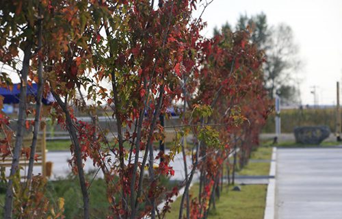 海城市职教中心