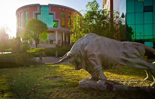 武夷山职业学院