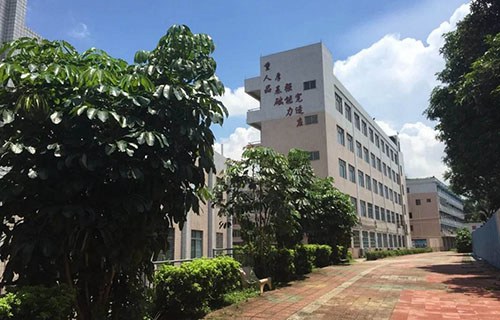 枣强县综合技术学校