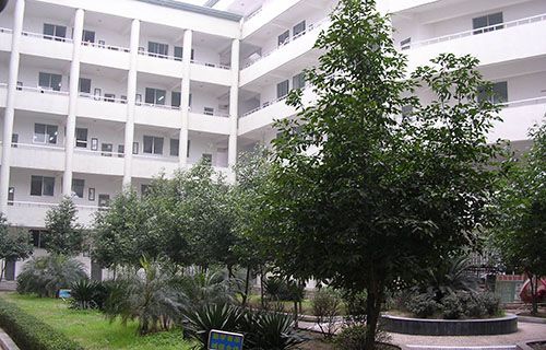 枣强县综合技术学校