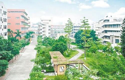 枣强县综合技术学校