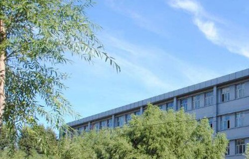 衡水卓越职业高级中学