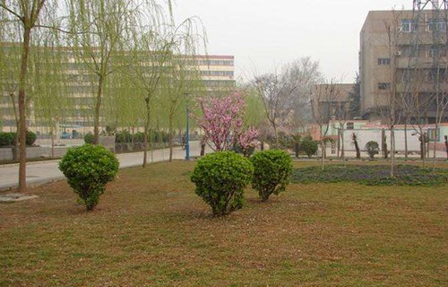 衡水卓越职业高级中学