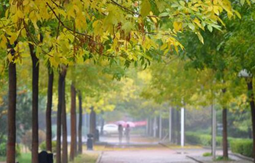 三河县职教中心