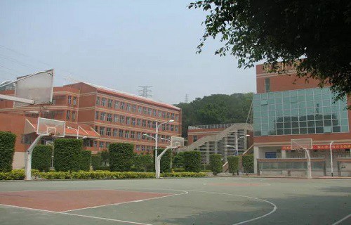 福建省泉州体育运动学校