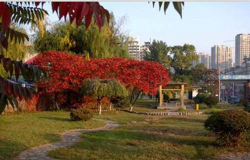 辽宁冶金职业技术学院