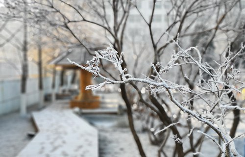 辽宁石化职业技术学院
