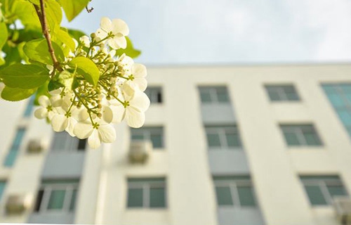 邢台市青年科技中等专业学校