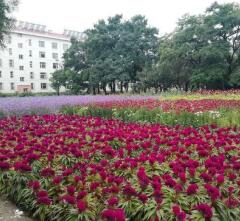 张家口正大新能源中等职业学校