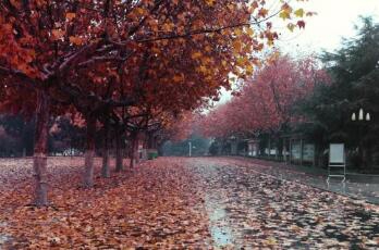 徐徐州财经学校