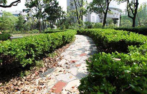 宜兴市经济学校