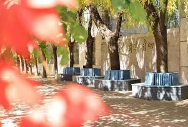 鲁迅美术学院附属中专