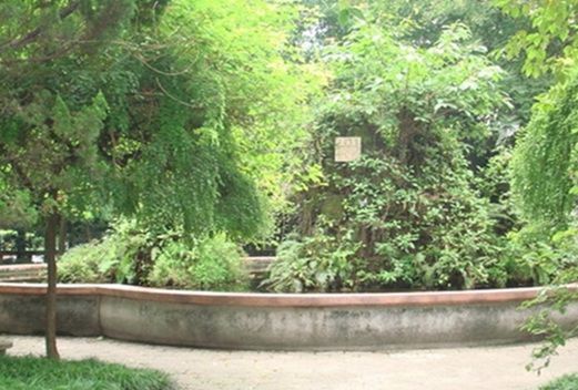 咸阳师范学院附属中学