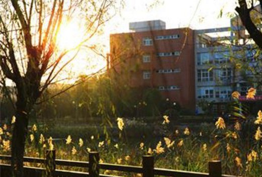 上海思博职业技术学院