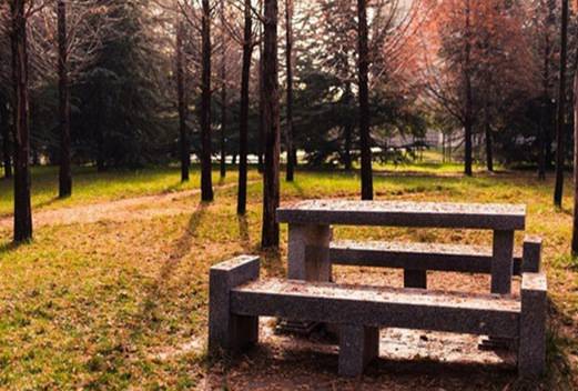 西北农林科技大学附属中学