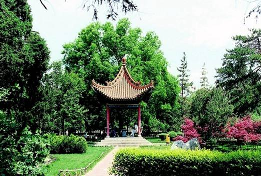 西北农林科技大学附属中学