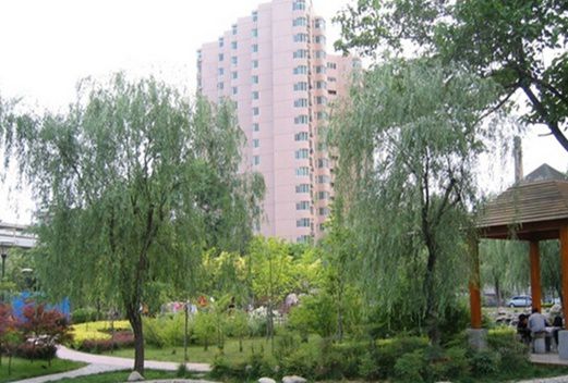 西安交通大学第二附属中学南校区