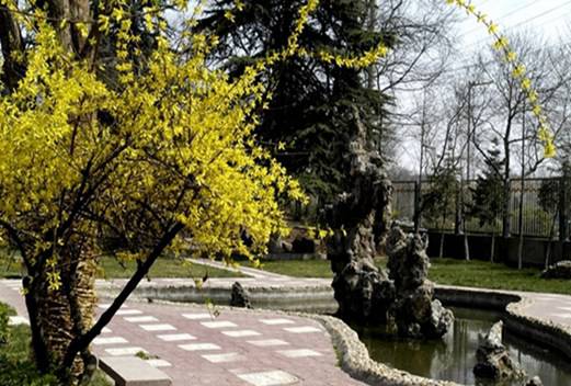 西安交通大学第二附属中学南校区