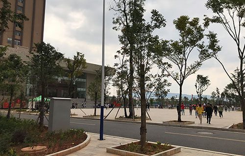 白水职业中等专业学校