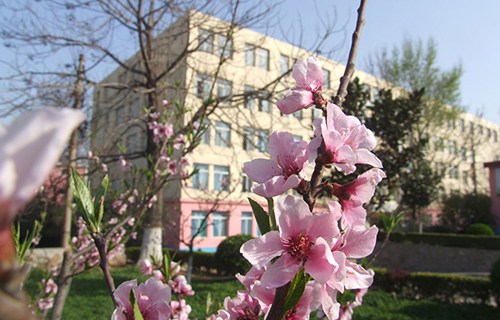 陕西长城科技技术学校
