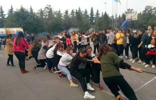 渭南幼儿师范学校