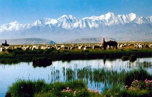 肃北蒙古族自治县职业教育中心