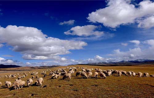 肃北蒙古族自治县职业教育中心